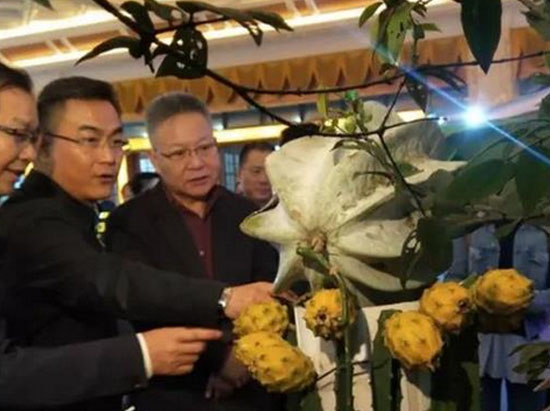 海(hǎi)南(nán)省省長(cháng)沈曉明(míng)視(shì)察海(hǎi)南(nán)盛大(dà)農(nóng)業(yè)2018年(nián)冬交會(huì)展區(qū)