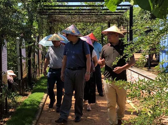 農(nóng)業(yè)農(nóng)村(cūn)部外(wài)經中心領導視(shì)察調研本基地(dì)